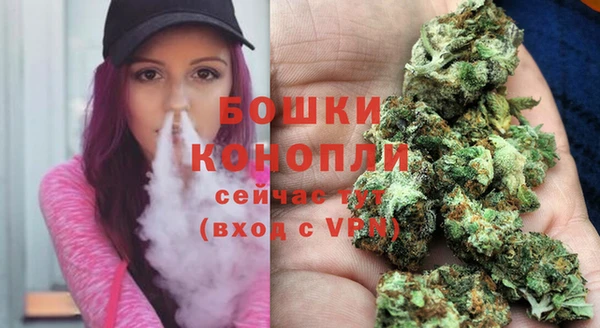 трава Богданович