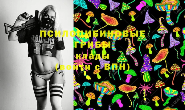 дживик Богородск
