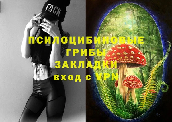 дживик Богородск