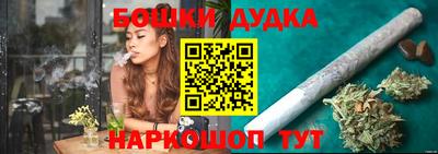 гашик Будённовск