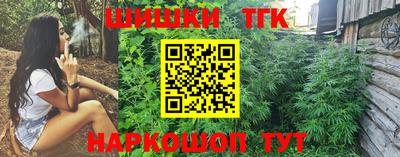 гашик Бийск