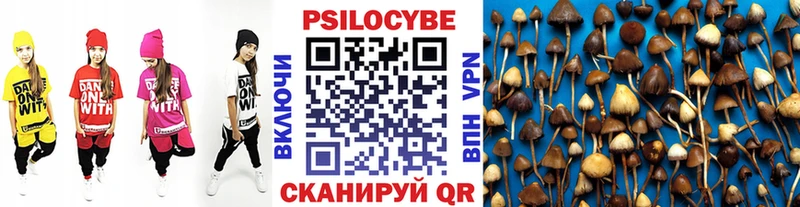 Псилоцибиновые грибы MAGIC MUSHROOMS  это Telegram  Гулькевичи 