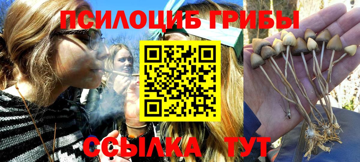 Псилоцибиновые грибы GOLDEN TEACHER  Вход с VPN  Галлюциногенные грибы Psilocybe  Гулькевичи 