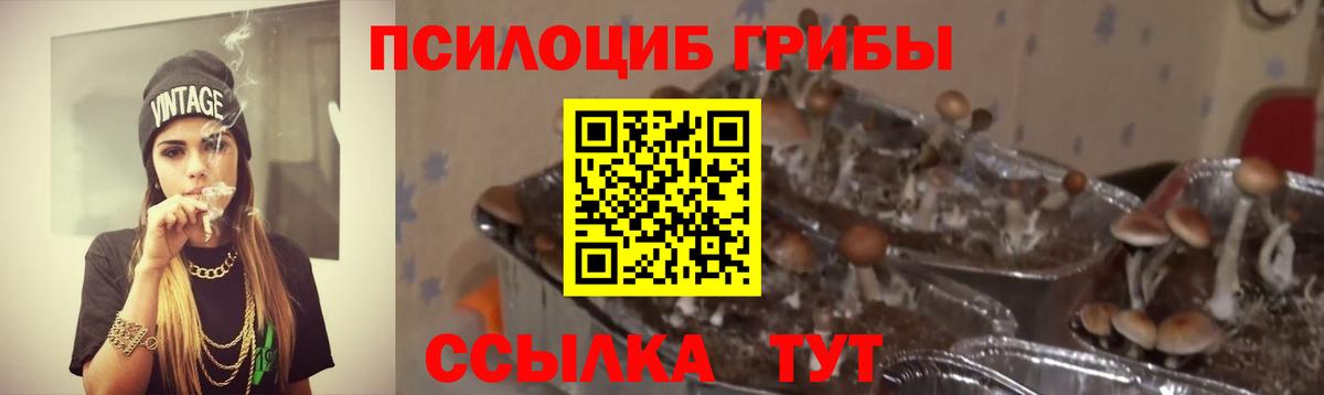 Псилоцибиновые грибы Magic Shrooms  Гулькевичи 